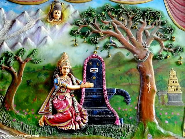 Book A Best Pandit For Vrathalu And Japalu In Hyderabad